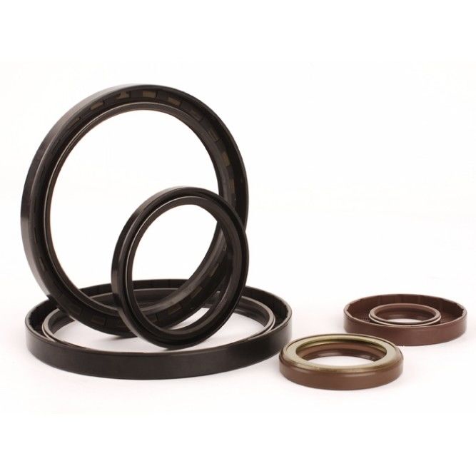PTFE 304 FP Tipo U-Seal a scottatura per cilindri idraulici