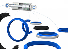 Prodotti della serie delle foche